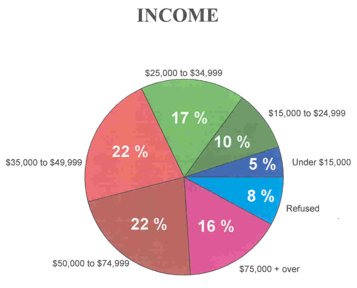 Income Chart